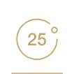 icon_pbt_25years_gold Icon Pbt 25years Gold, PBT Group